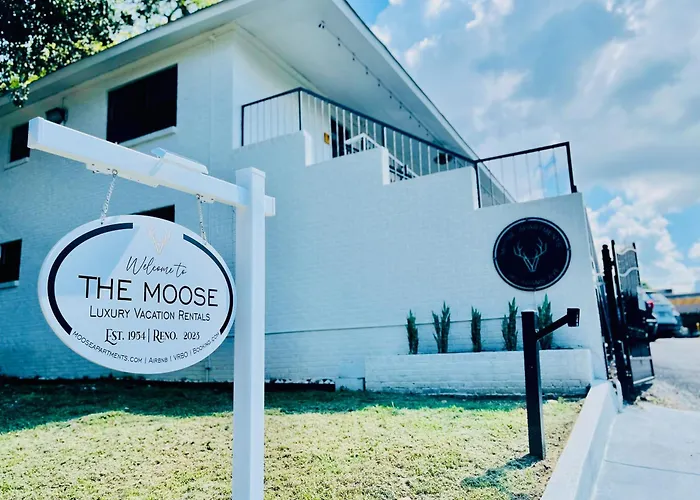 The Moose #12 - Brand New Modern Luxe Loft With Free Parking, King Bed & Fast Wifi